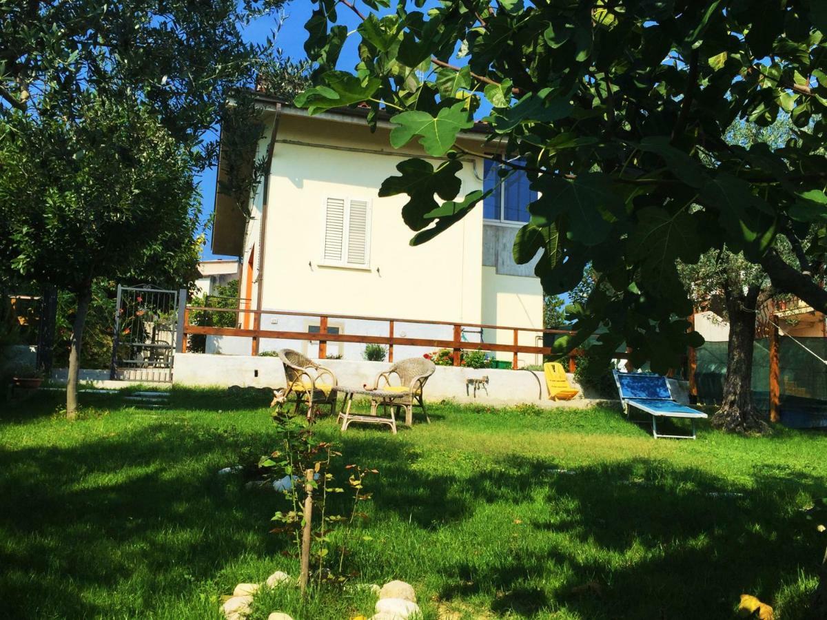 Il Gruccione Bed & Breakfast Sant'Omero Exterior foto