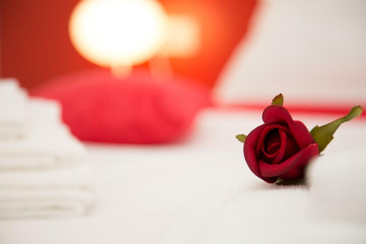 Il Gruccione Bed & Breakfast Sant'Omero Exterior foto